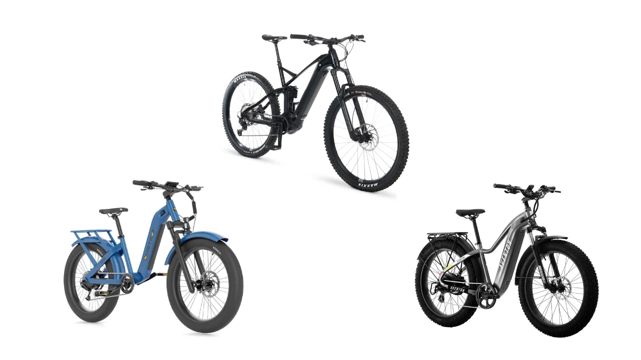 expensive e bikes