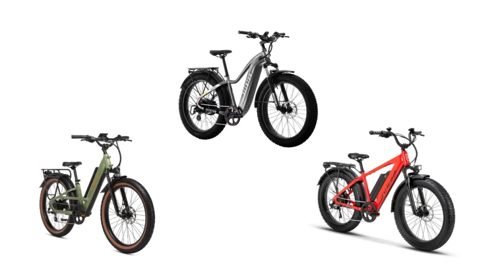 Best Fat Tire Electric Bikes