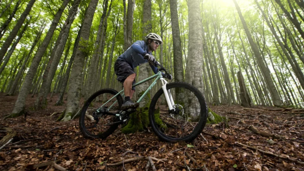 Electric Bikes now allowed to be used on State Biking trails