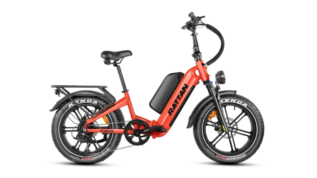 Rattan Pinus Electric Bike