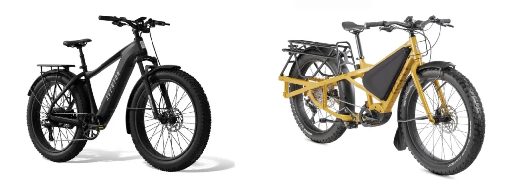 Aventon Vs Tern